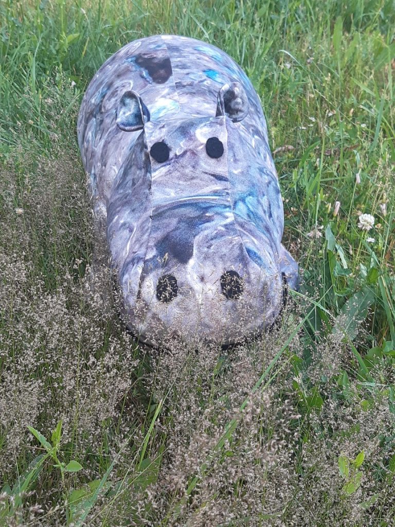 Hippo in Grass
